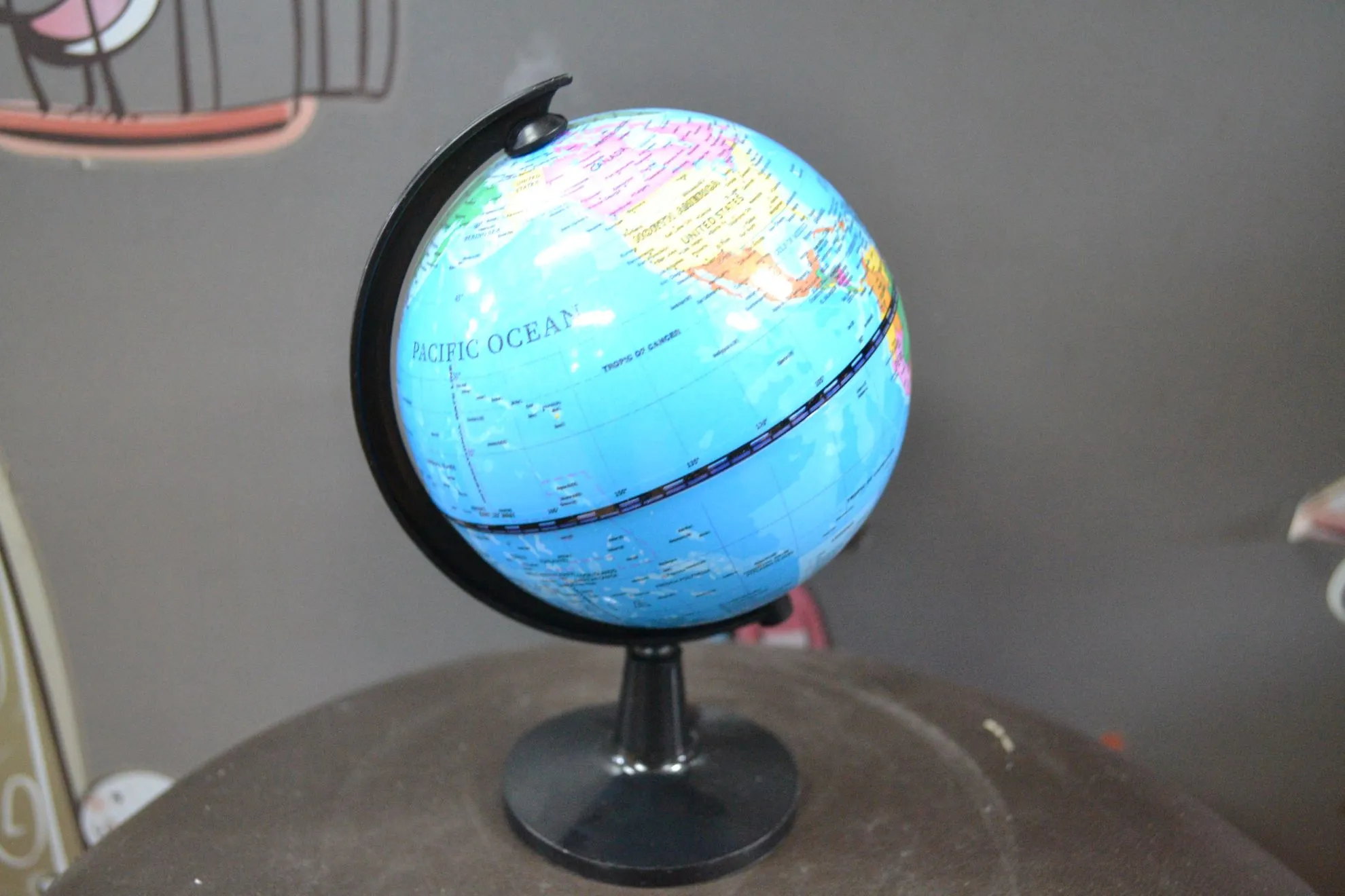 GLOBUS 31027-196
