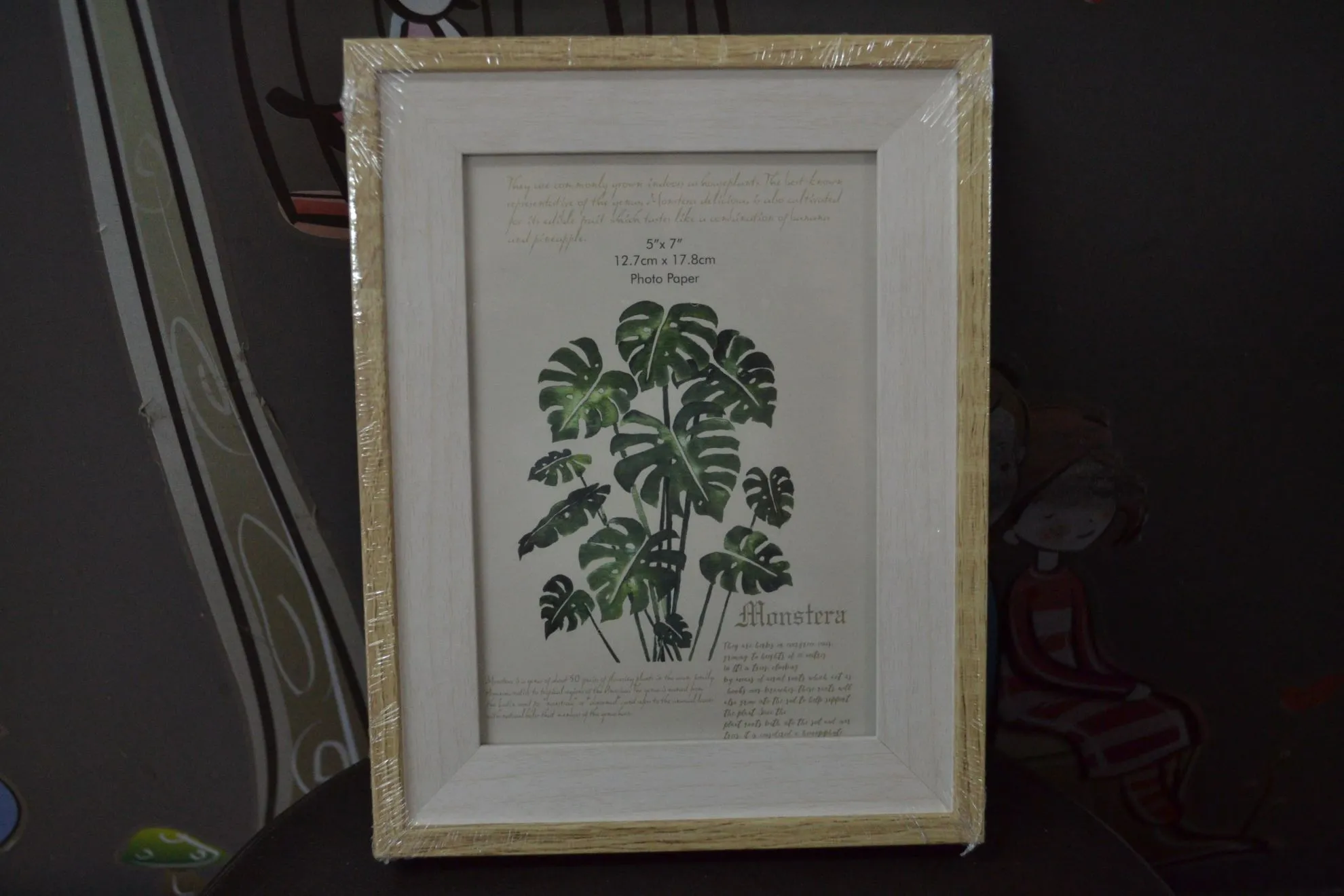 FOTO RAM 13x18 0902-109