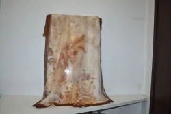 EŠARPA  286