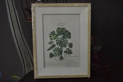 FOTO RAM 13x18 0902-109