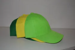 ŠEŠIRI 289