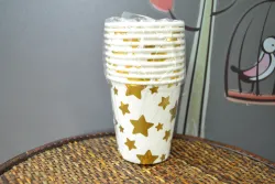 ČAŠE PARTY 1/10 0623-46